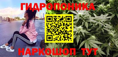 PSILOCYBIN Аргун