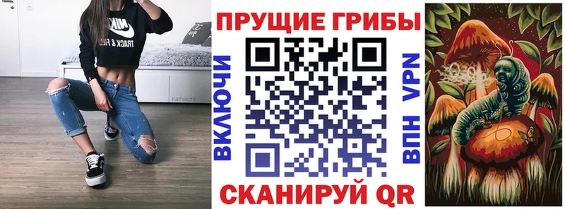 закладка  Белогорск  Галлюциногенные грибы Psilocybe 