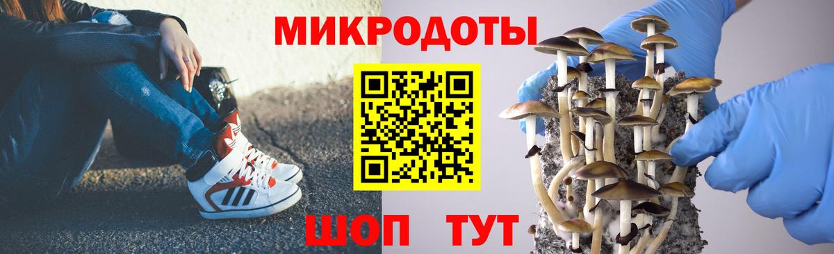 Галлюциногенные грибы прущие грибы Белогорск